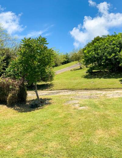 Vu jardin Appartement Mangue